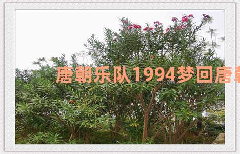 唐朝乐队1994梦回唐朝