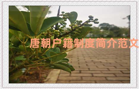 唐朝户籍制度简介范文