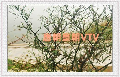 唐朝皇朝VTV