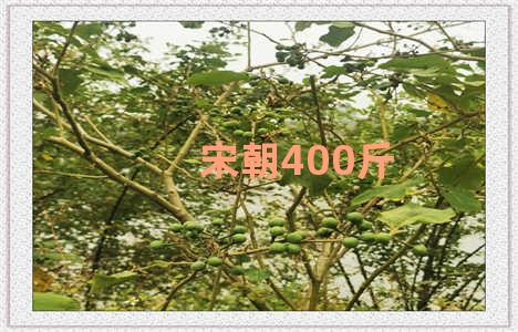 宋朝400斤