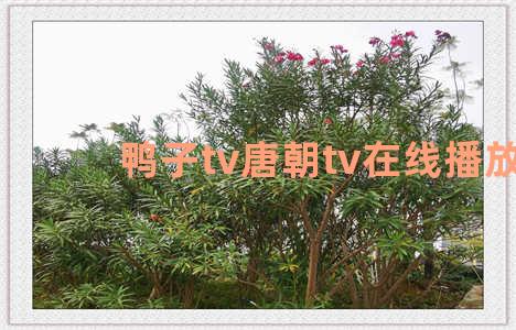 鸭子tv唐朝tv在线播放